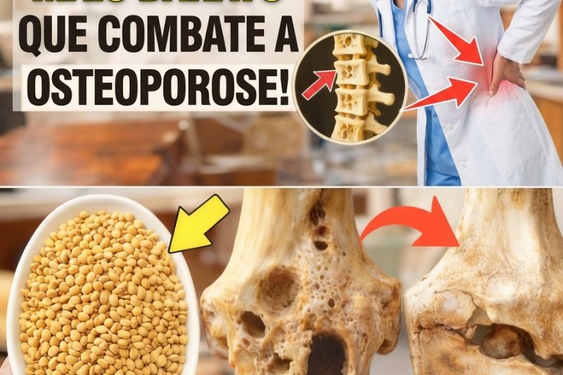 O Superalimento Mais Barato Que Muitos Idosos Ignoram — E Que Pode Transformar a Saúde Óssea Após os 60