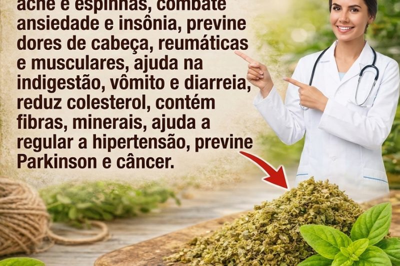 Você Sabia Que o Orégano Pode Ser um Aliado Saboroso na Sua Rotina de Bem-Estar?