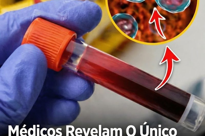 O Que o Seu Tipo Sanguíneo Revela Sobre Seus Riscos de Saúde (E Como se Proteger de Forma Simples)