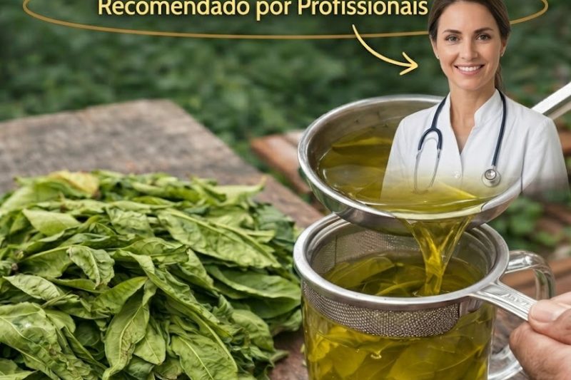 Folhas de Goiaba: Um Segredo Natural para Beleza e Bem-Estar – Você Vai Se Surpreender com o que Elas Podem Fazer