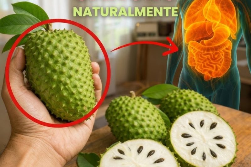 Cherimóia: A Fruta Tropical Esquecida Rica em Antioxidantes para o Bem-Estar na Terceira Idade