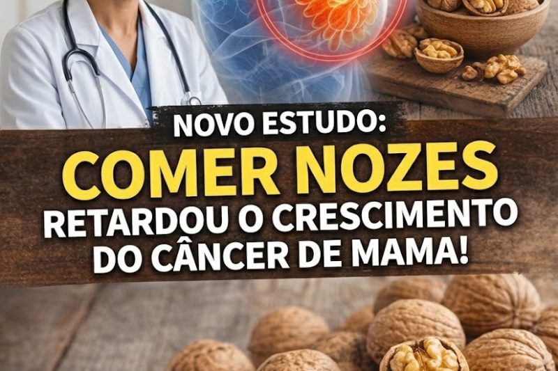 Comer Nozes Diariamente Pode Apoiar a Saúde das Mamas? Novos Dados de um Estudo Piloto