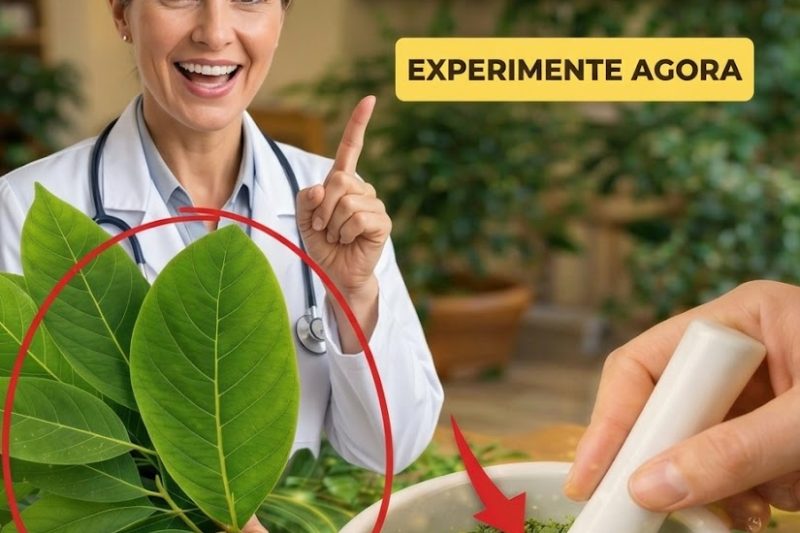 A FOLHA QUE PODE TRANSFORMAR SUA SAÚDE — O SEGREDO NATURAL QUE QUASE NINGUÉM CONTA!