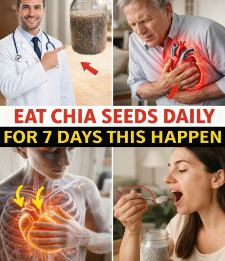 O Que Realmente Acontece Quando Você Consome Sementes de Chia Todos os Dias por 7 Dias (Não É o Que a Maioria Espera)