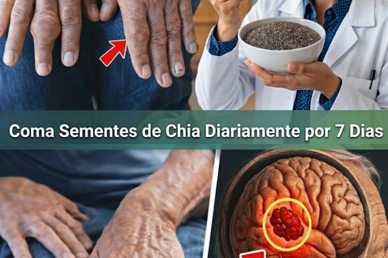 O Que Acontece Quando Você Come Sementes de Chia Todos os Dias por 7 Dias (Não é o que Você Imagina)