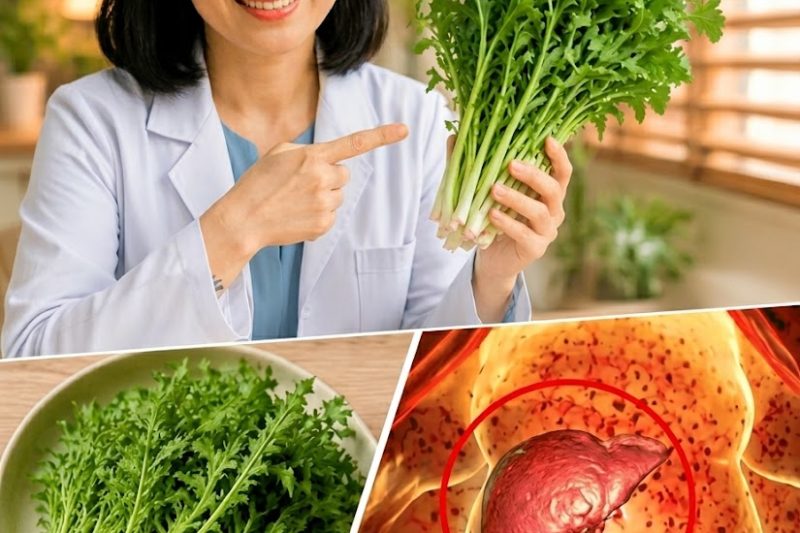 Alerta de Fígado Gorduroso: você ainda se atreve a comer assim?