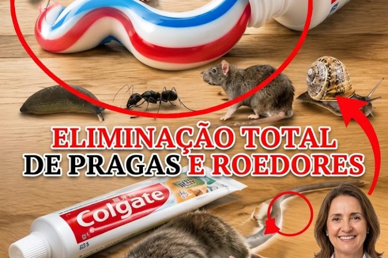 Pasta de dente realmente afasta insetos? A verdade que muita gente ignora