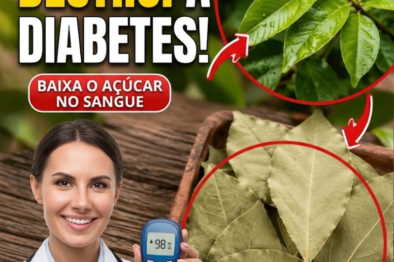 Folhas de Louro Controlam o Açúcar no Sangue? Cuidado para Não Cair em Mitos