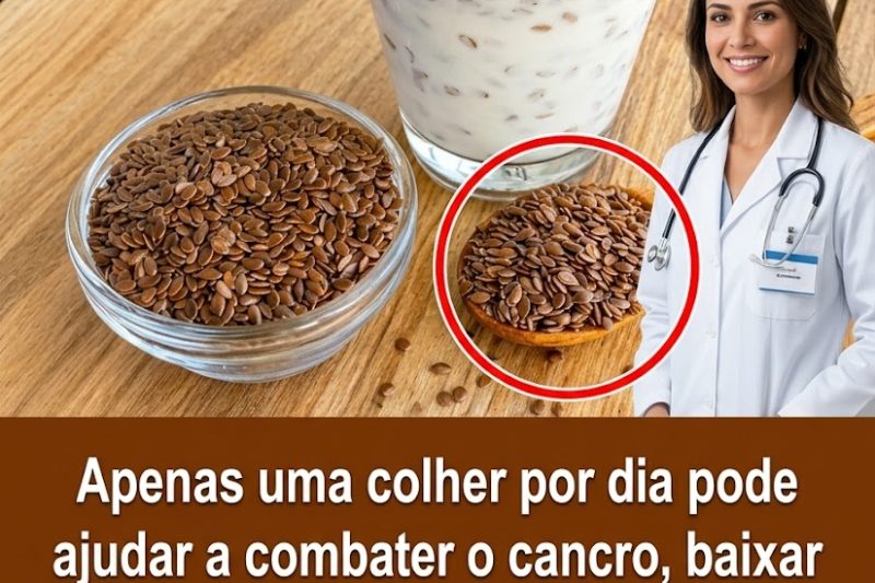 Descubra a Pequena Semente que Está Conquistando os Amantes do Bem-Estar: Por Que a Linhaça Merece um Lugar na Sua Rotina Diária