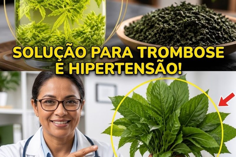 Pressão Alta por Muito Tempo? Muita Gente Está Bebendo Água do Jeito Errado