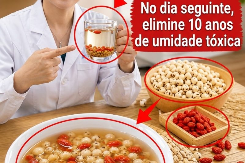 Goji Berry “Elimina Toxinas”? Cuidado: Você Pode Estar Engordando Sem Perceber