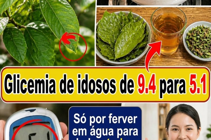 Glicose Alta: Não Tome Qualquer Coisa! O Perigo das “Receitas Milagrosas” e a Verdade sobre o Controle Glicêmico