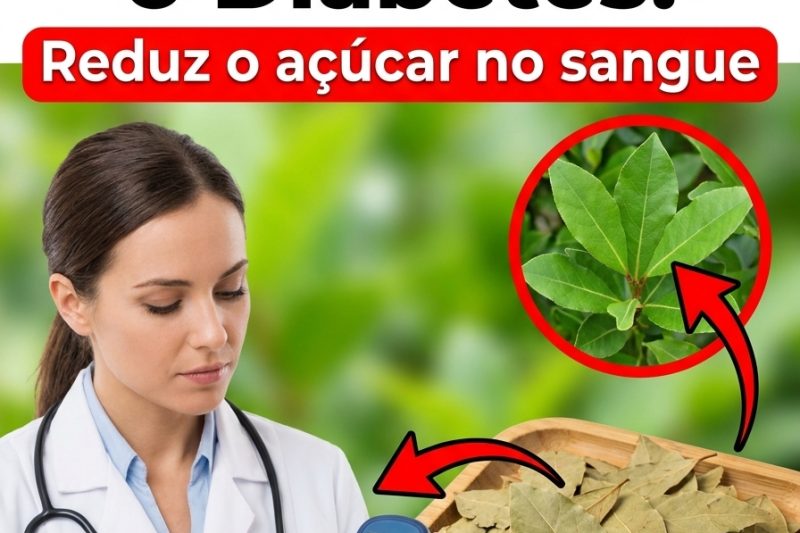 Folhas de Louro Ajudam no Açúcar no Sangue? Cuidado Para Não Perder Tempo com o Que Não Resolve