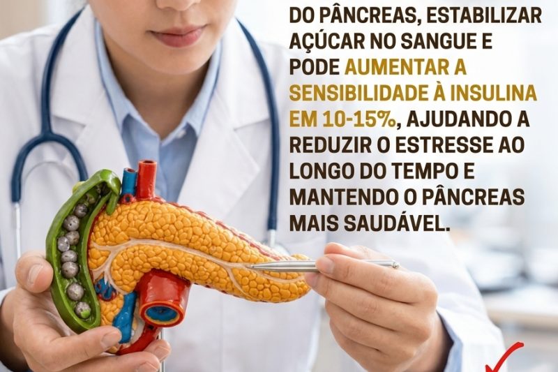Sementes de Chia: o erro comum que pode estar piorando o controlo do açúcar no sangue