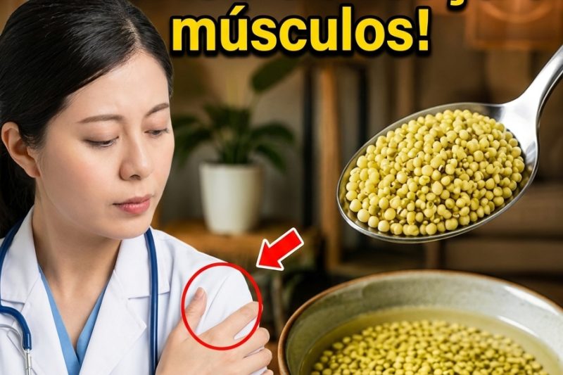 Comer Milho-Painço Antes de Dormir? O Sinal de Alerta para a Força Muscular em Idosos