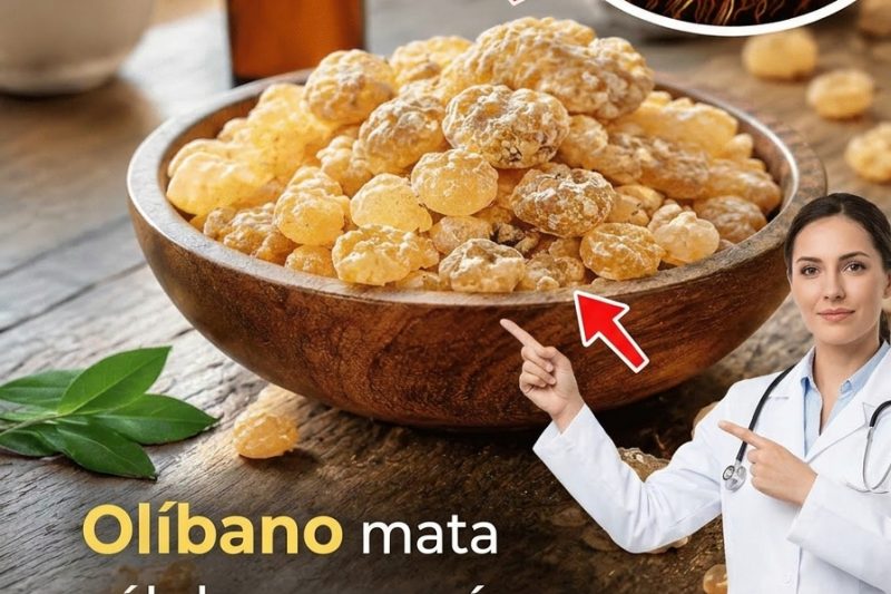 O Incenso Pode Apoiar Sua Jornada de Bem-Estar? Descubra o Que a Ciência Moderna Revela Sobre Esta Resina Milenar