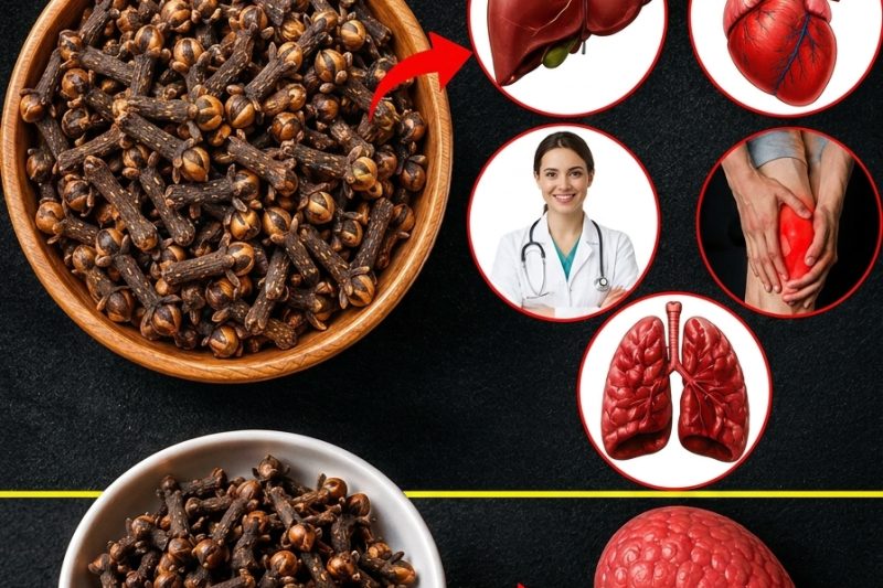 Evite o Cravo-da-Índia Se Você Tem Estes Problemas de Saúde – O Que Quase Ninguém Conta