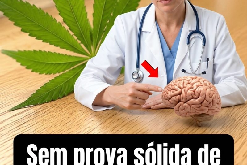 Um Estudo de 44 Anos Abala Tudo o que Pensávamos Sobre Cannabis e o Envelhecimento do Cérebro