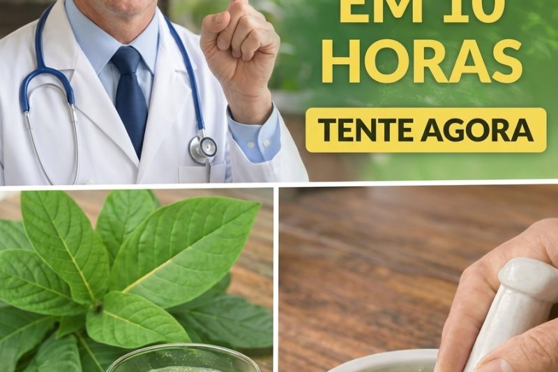 A folha que pode apoiar a pesquisa de células cancerígenas: por que as folhas de graviola estão chamando a atenção