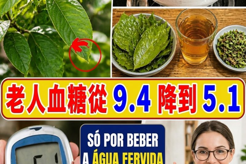 Glicose Alta? Não Saia Bebendo Qualquer Coisa: Mitos e Verdades sobre o Controle do Açúcar no Sangue