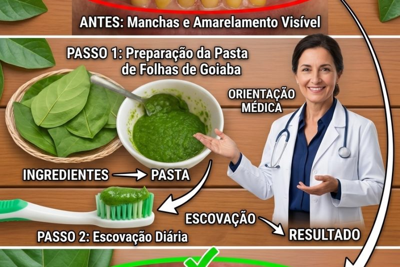 O Segredo Surpreendente da Vovó Para um Sorriso de Hollywood: O Poder das Folhas de Goiaba