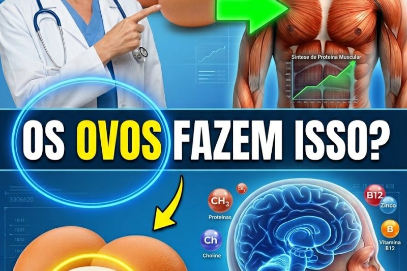 O Que Acontece com o Seu Corpo Quando Você Come 2 Ovos Todos os Dias?