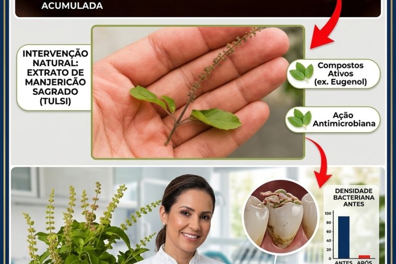 Tulsi (Manjericão Sagrado) e Saúde Oral: Um Remédio Natural para Dentes e Gengivas Fortes