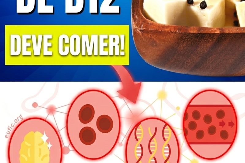 7 Alimentos Ricos em Vitamina B12 Para Dizer Adeus ao “Brain Fog” e Recuperar Sua Energia Mental