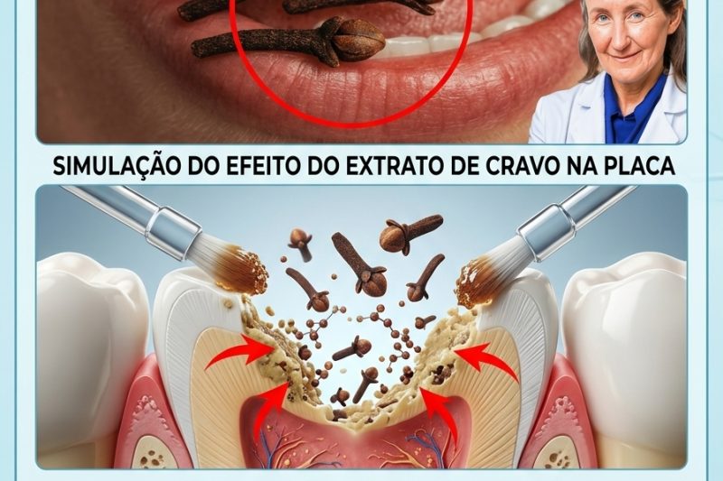O Poder Oculto do Cravo-da-Índia Para um Sorriso Mais Saudável