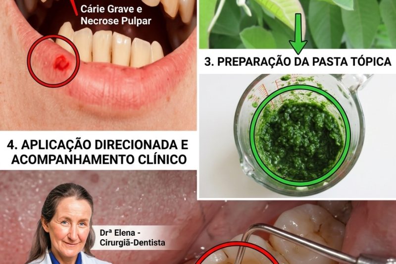 Folhas de Goiabeira: O Segredo Natural de uma Sorriso Radiante Passado de Geração em Geração