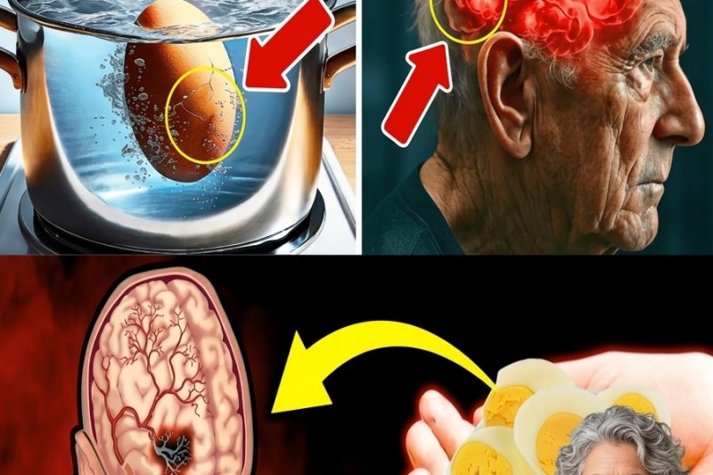 Ovos: 7 Erros Graves Que Você Nunca Deve Cometer (Especial para a Saúde dos Idosos)