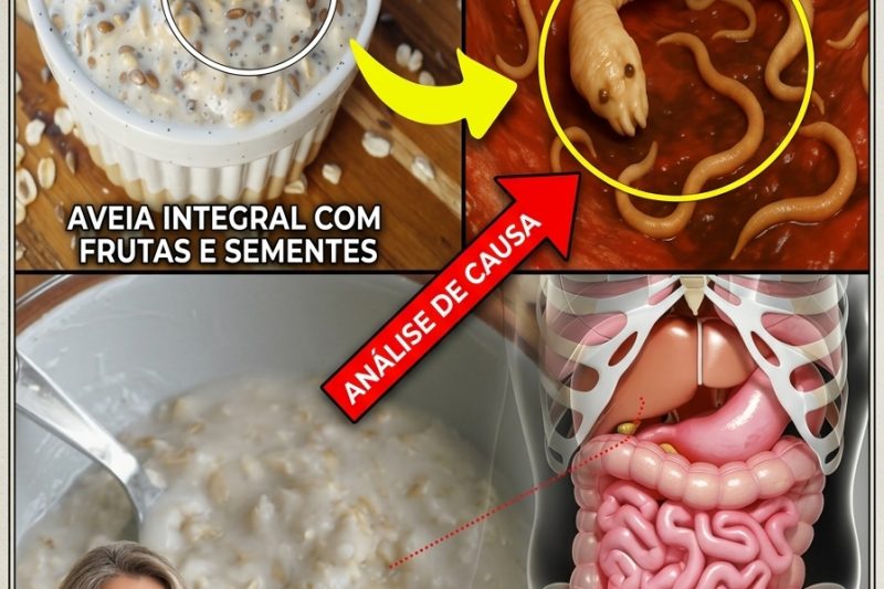 Os 7 Alimentos Que Não Devem Ser Misturados com Aveia: O Erro Mais Comum Entre Idosos