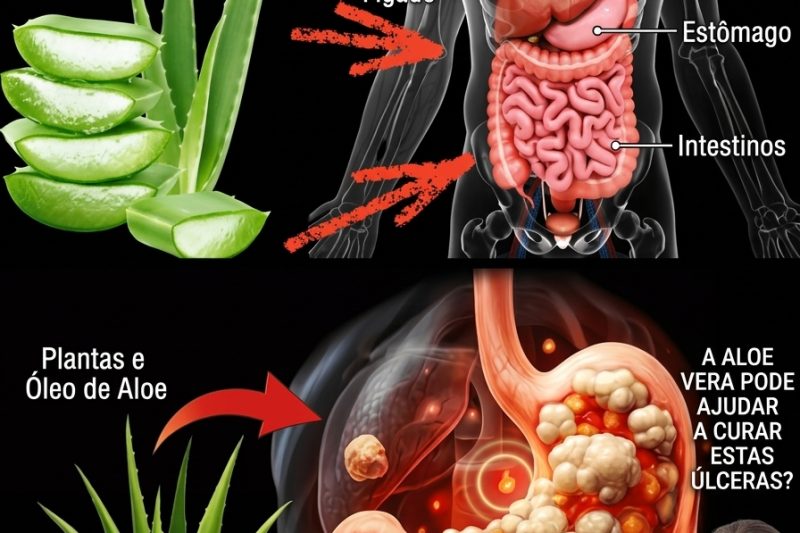 O Poder do Suco de Babosa: O Segredo Natural Para Mais Saúde, Energia e Beleza