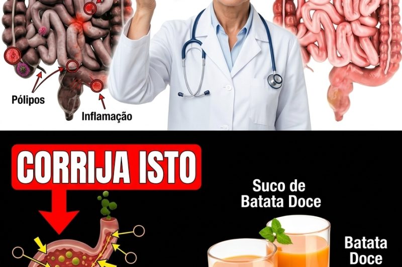 O Segredo Natural que Acalmou a Azia e Transformou a Digestão em Poucos Minutos