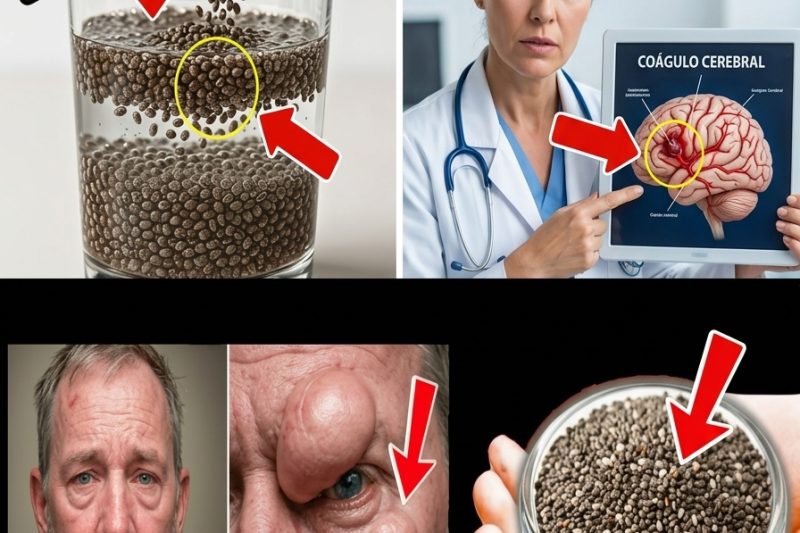Sementes de Chia: O Superalimento Que Pode Proteger a Saúde dos Idosos — Mas Estes 6 Erros Podem Ser Perigosos