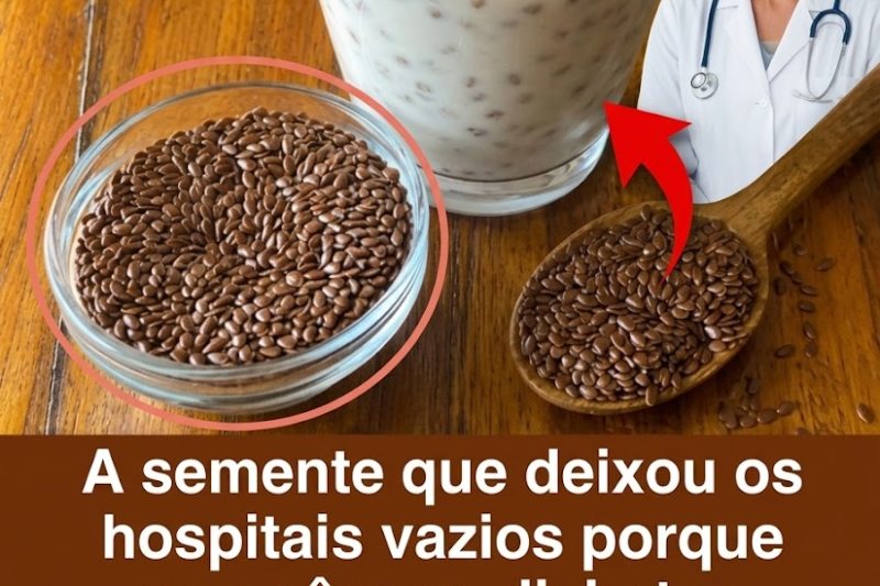 Você Já Experimentou Esta Pequena Semente Que Está Conquistando o Mundo do Bem-Estar?