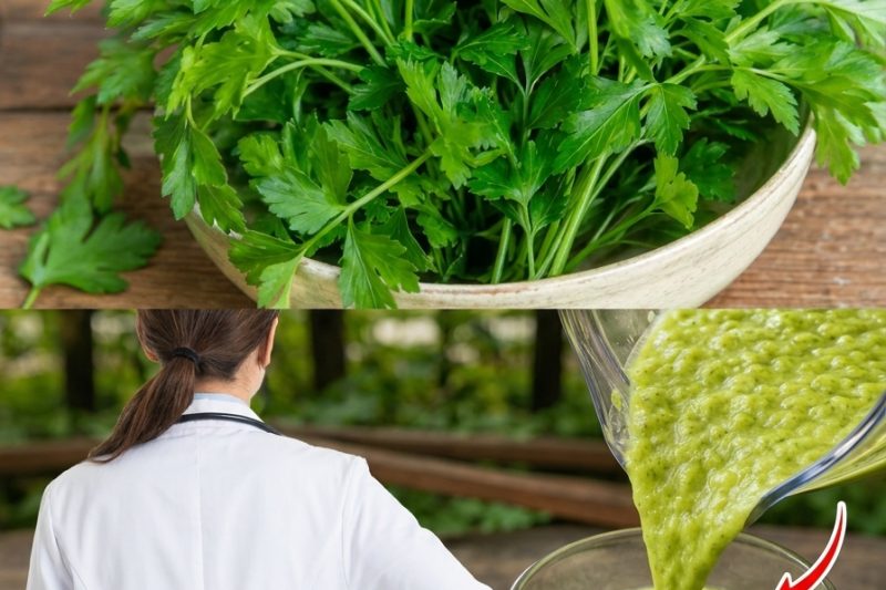 As 5 Melhores Verduras para Apoiar Níveis Saudáveis de Creatinina e a Função Renal