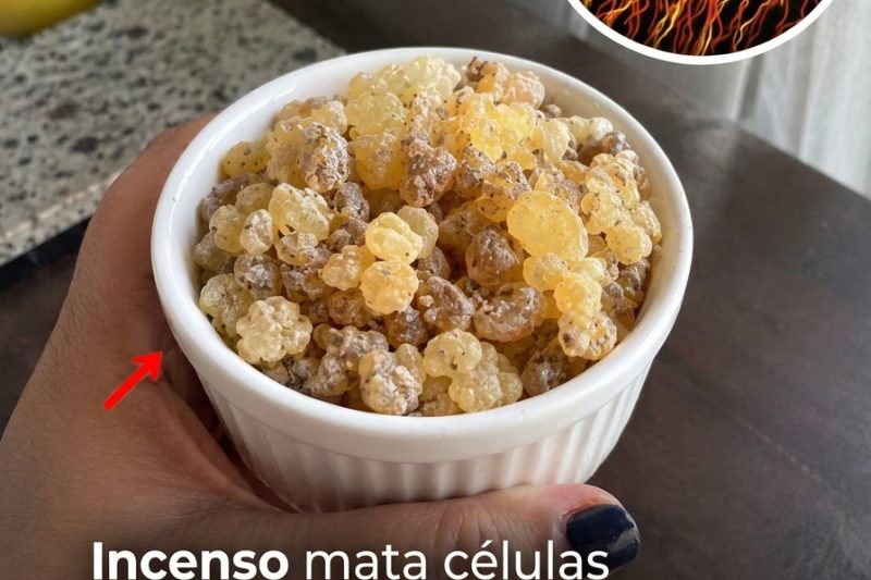O Incenso (Frankincense) Pode Apoiar Sua Jornada de Bem-Estar? O Que a Tradição Milenar e a Ciência Moderna Revelam