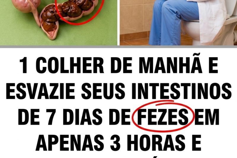 10 Superalimentos Poderosos para Apoiar a Saúde do Cólon e Recuperar a Vitalidade