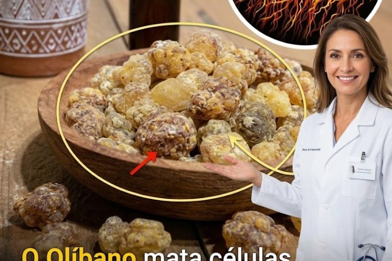 O Olíbano Pode Fortalecer as Defesas Naturais e o Humor de Maneiras Surpreendentes?