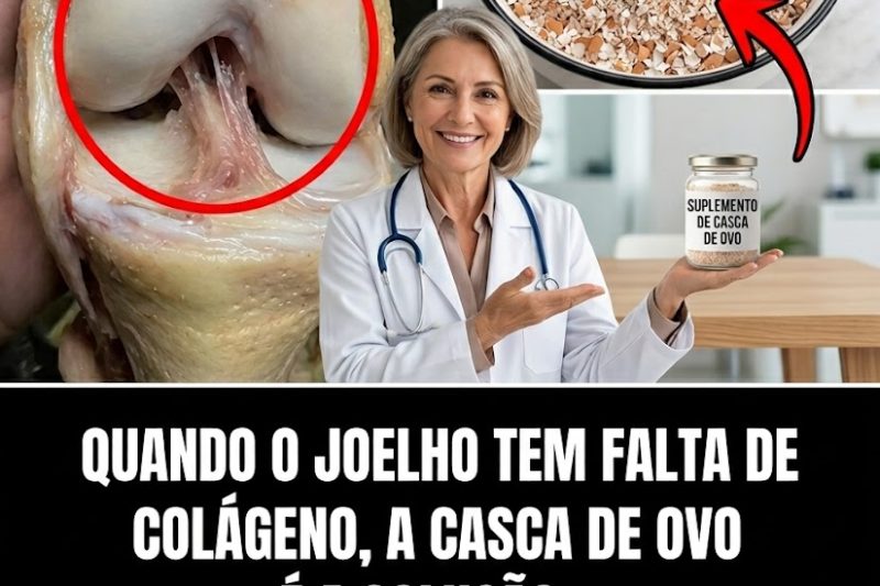 Descubra o Poder Natural das Cascas de Ovo: Uma Forma Simples de Apoiar o Conforto dos Joelhos e a Saúde das Articulações